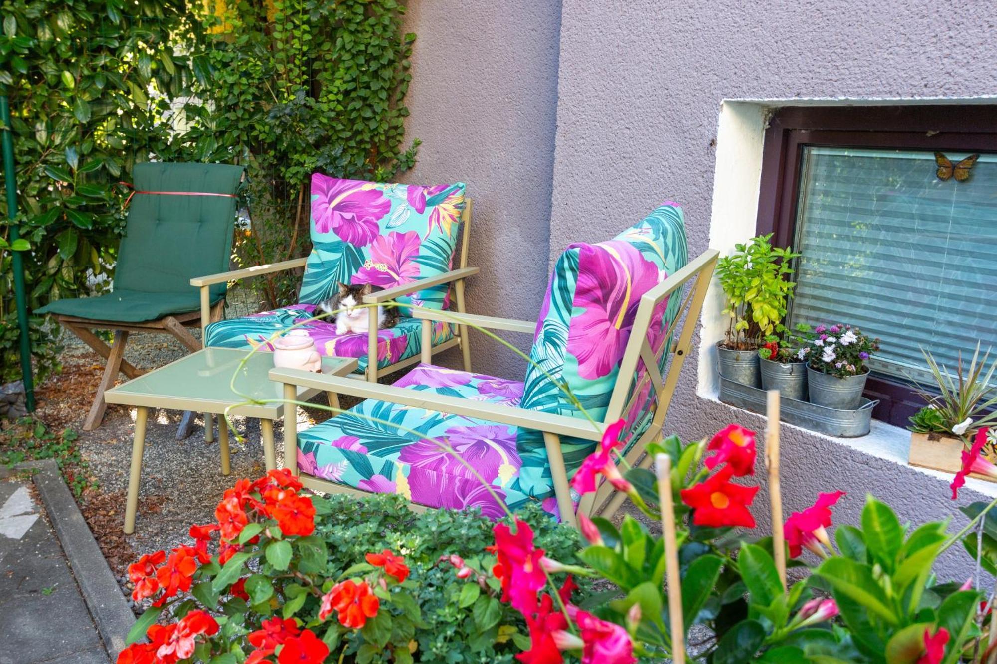 Apartmán Benjamins Refugium Solnohrad Exteriér fotografie