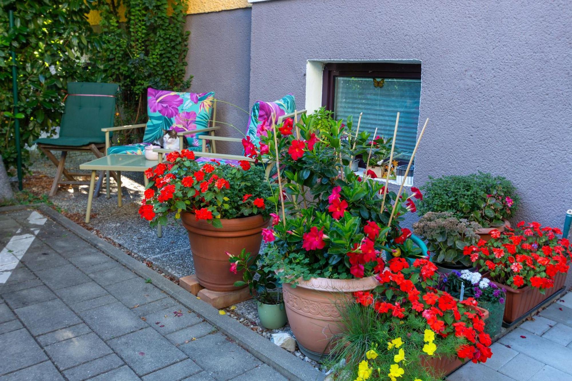 Apartmán Benjamins Refugium Solnohrad Exteriér fotografie